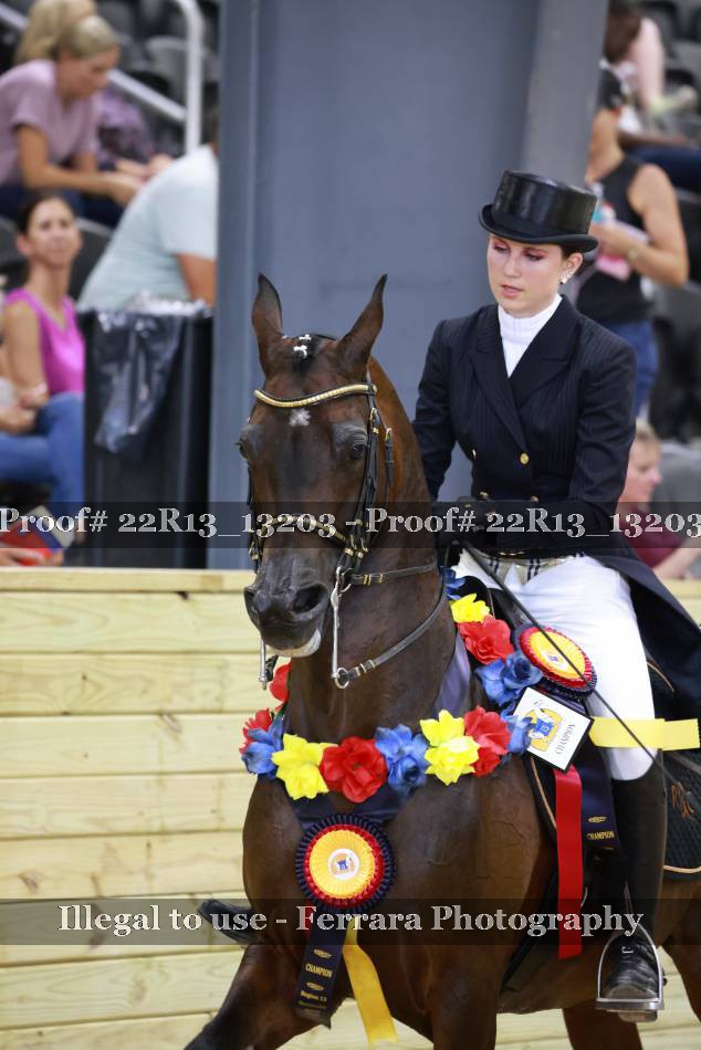 Proof 22R13_13203