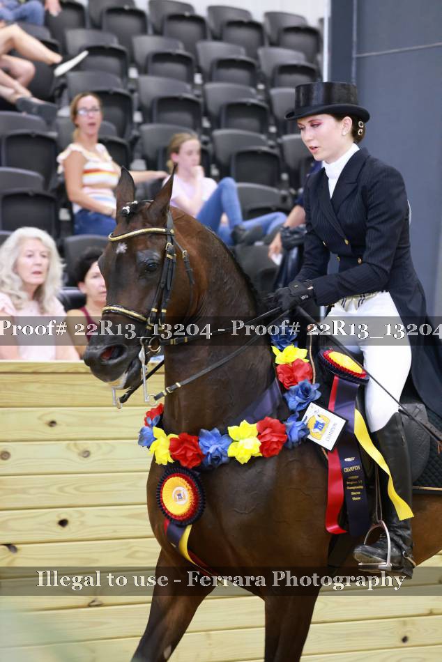 Proof 22R13_13204