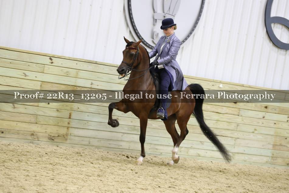 Proof 22R13_13205