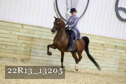 22R13_13205 proof
