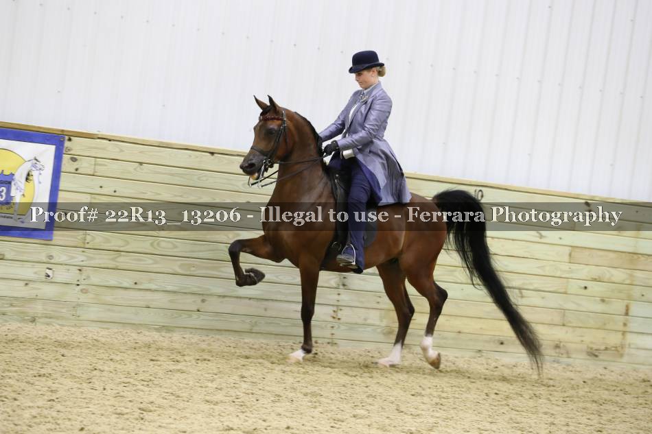 Proof 22R13_13206