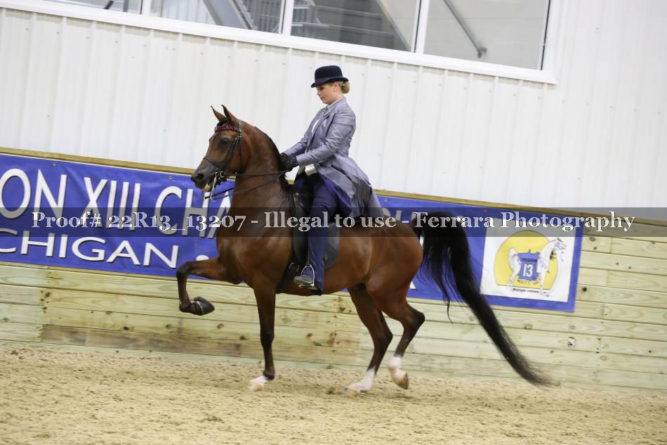 Proof 22R13_13207