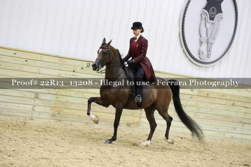 Proof 22R13_13208