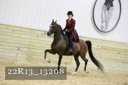 22R13_13208 proof