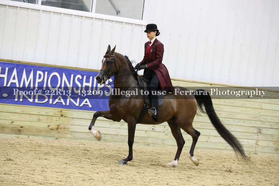 Proof 22R13_13209