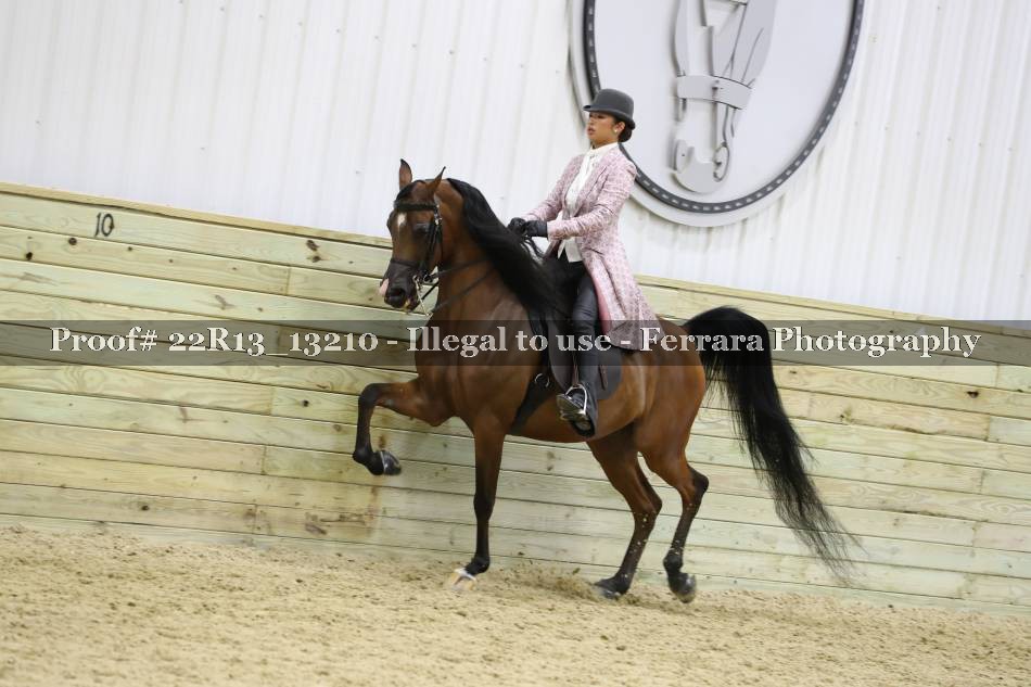Proof 22R13_13210