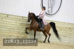 22R13_13210 proof