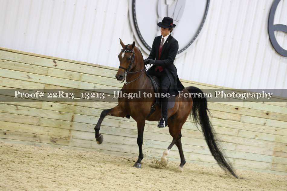 Proof 22R13_13213