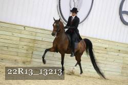 22R13_13213 proof