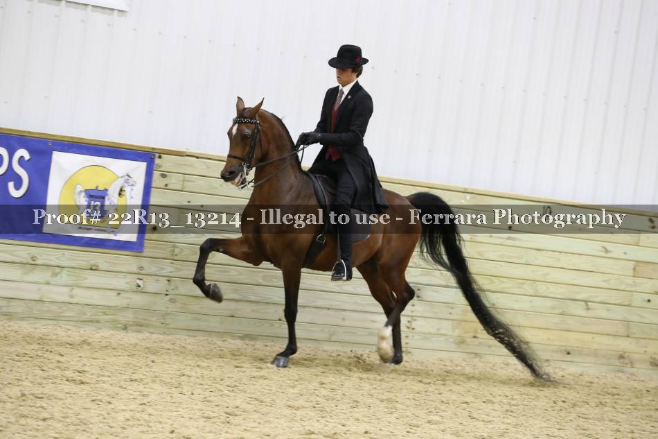 Proof 22R13_13214
