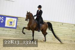 22R13_13214 proof