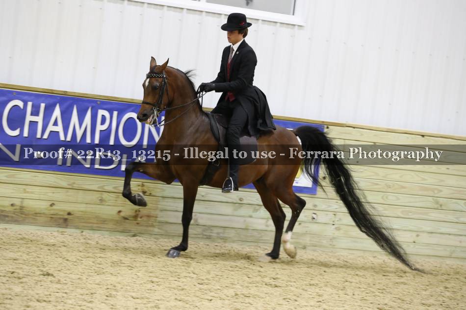 Proof 22R13_13215