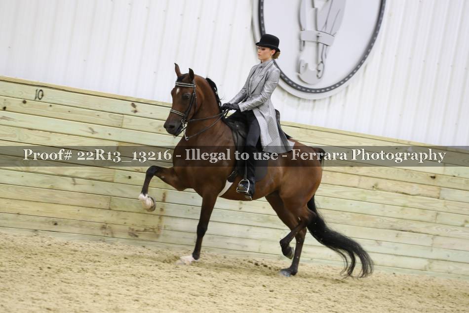 Proof 22R13_13216