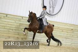 22R13_13216 proof