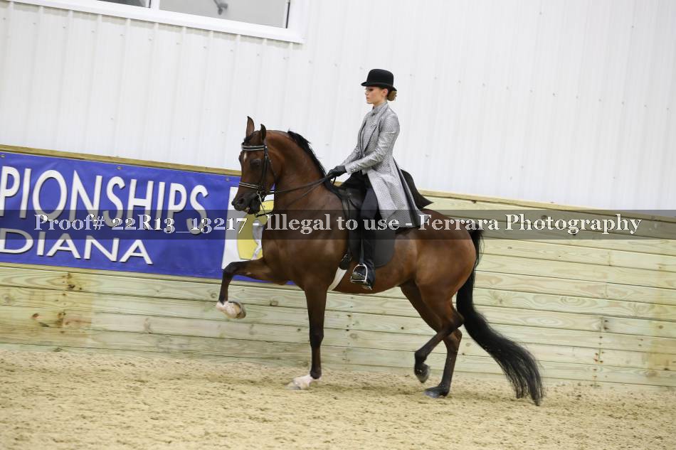 Proof 22R13_13217
