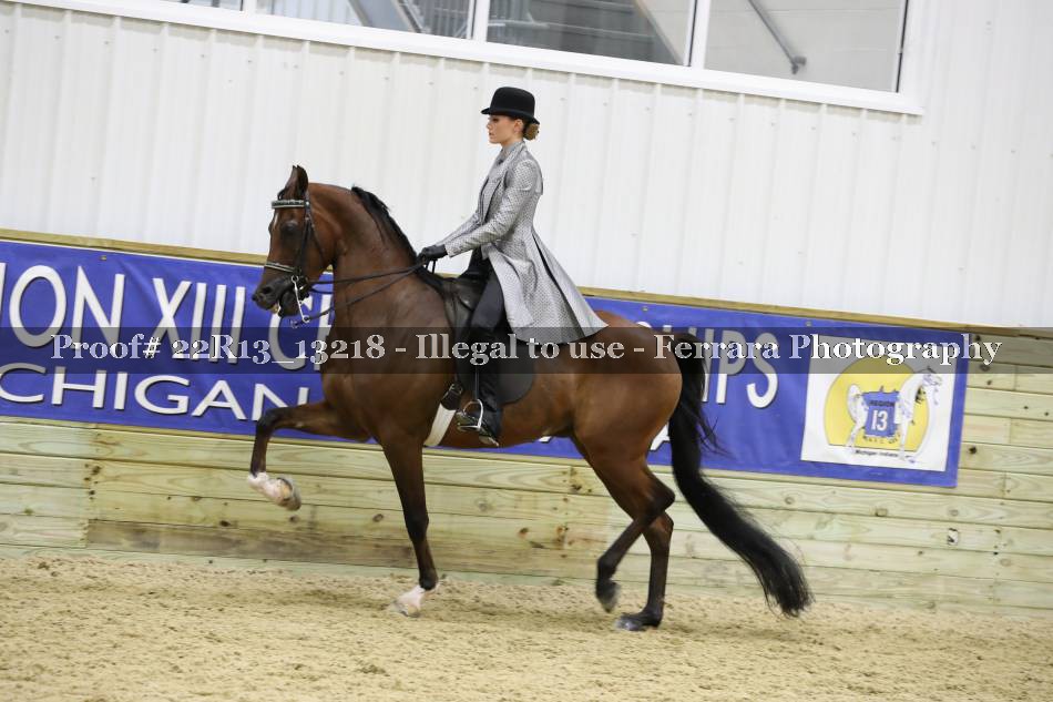 Proof 22R13_13218