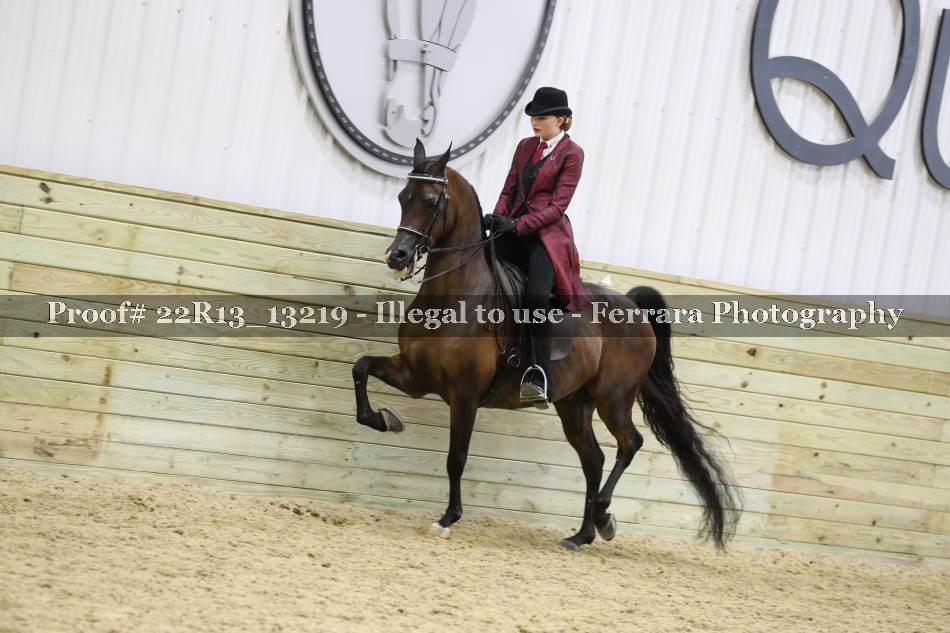 Proof 22R13_13219