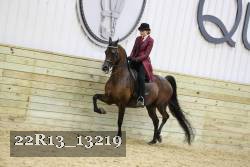 22R13_13219 proof