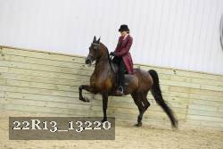 22R13_13220 proof