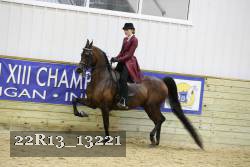 22R13_13221 proof