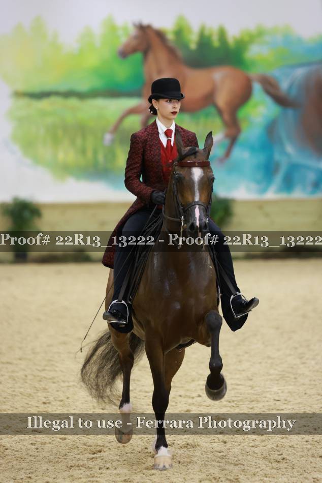 Proof 22R13_13222