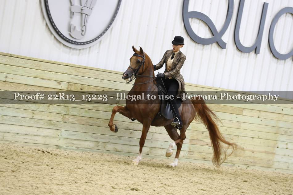 Proof 22R13_13223