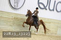 22R13_13223 proof