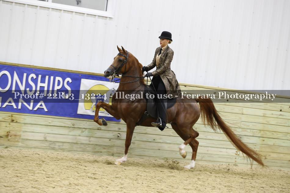Proof 22R13_13224