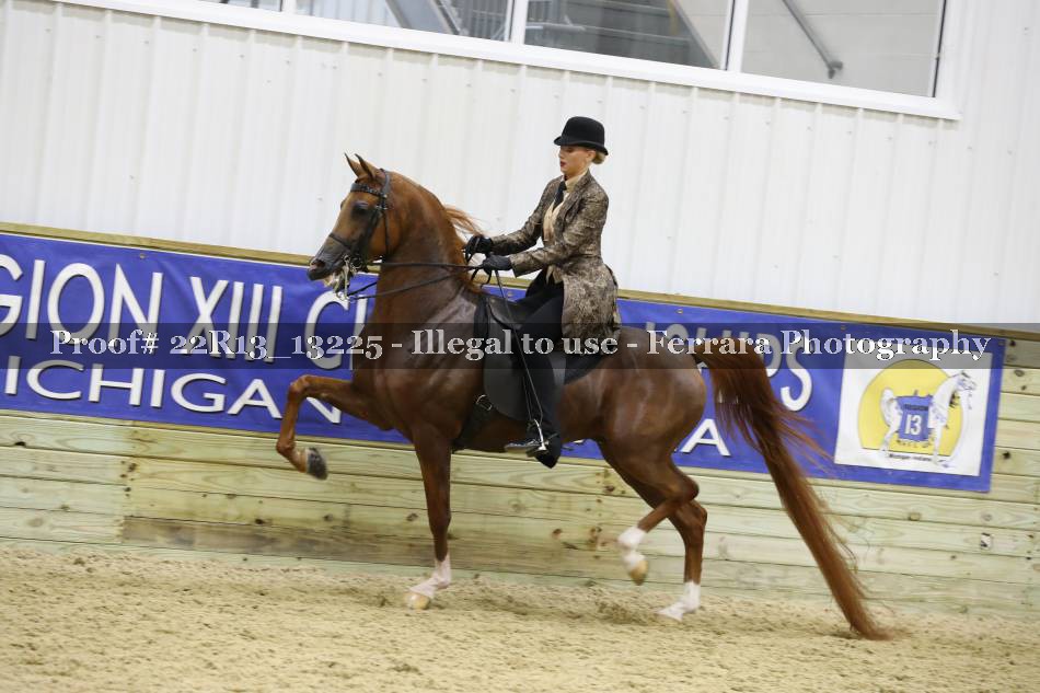 Proof 22R13_13225