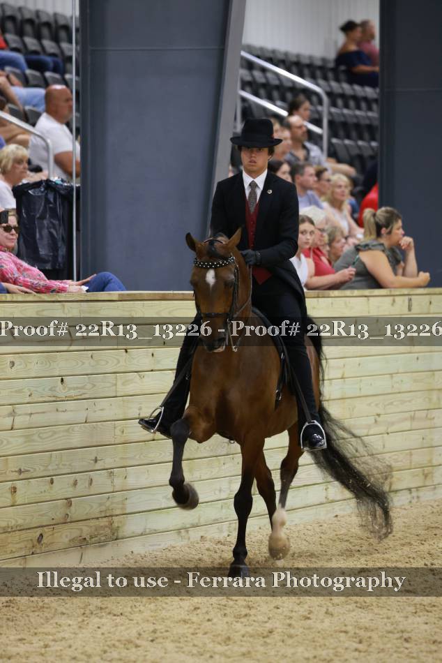 Proof 22R13_13226
