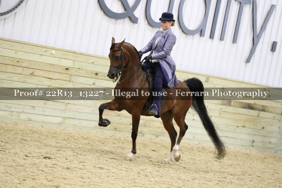 Proof 22R13_13227