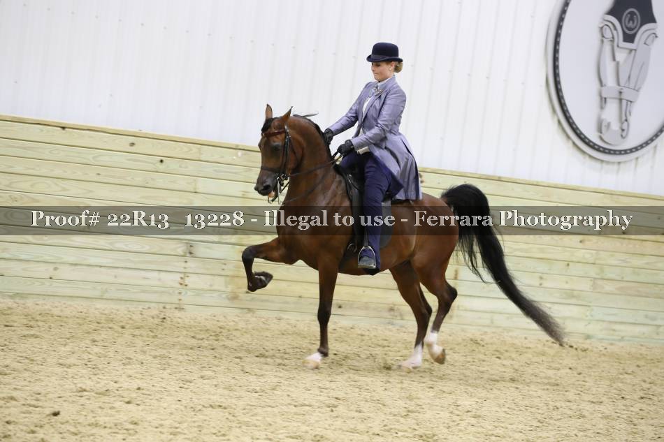 Proof 22R13_13228