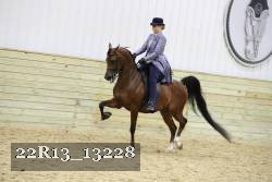 22R13_13228 proof