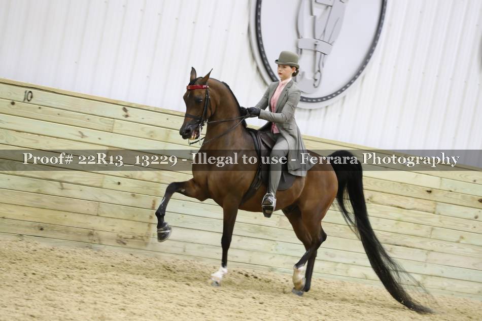 Proof 22R13_13229