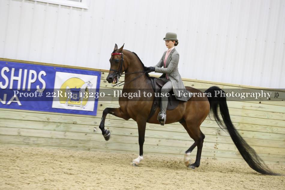 Proof 22R13_13230