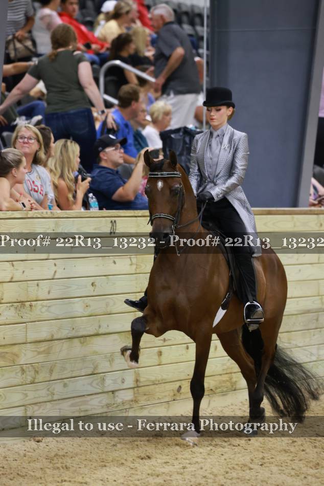Proof 22R13_13232