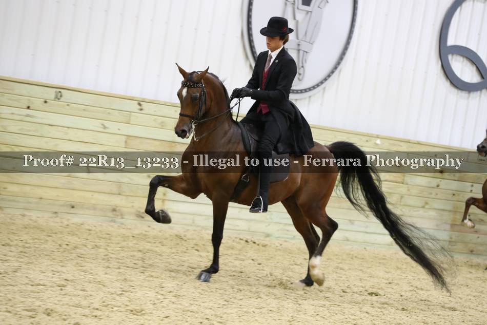Proof 22R13_13233