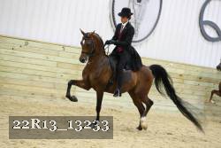 22R13_13233 proof
