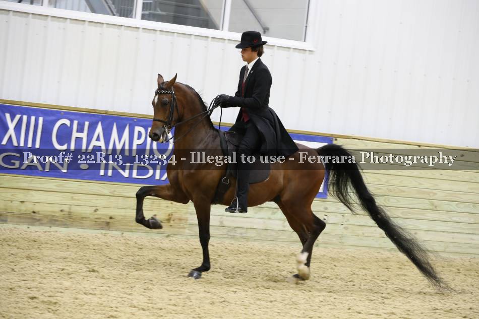 Proof 22R13_13234