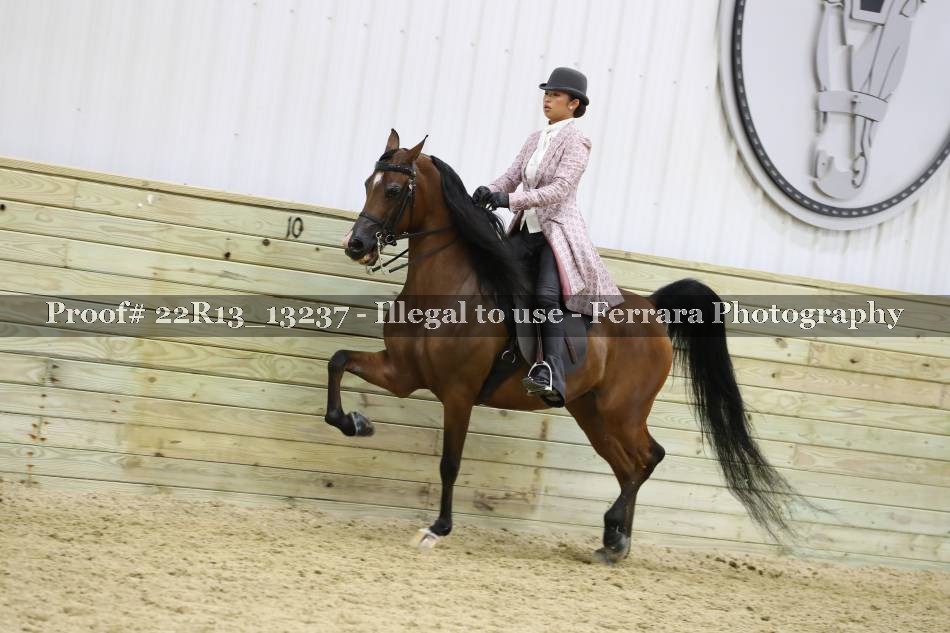 Proof 22R13_13237