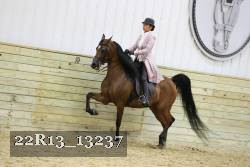 22R13_13237 proof