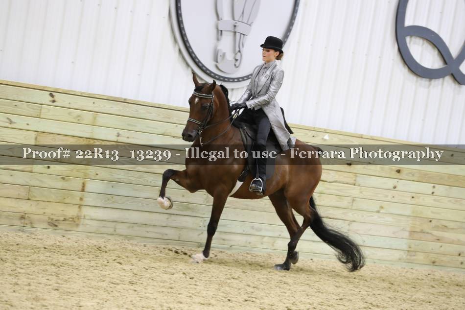 Proof 22R13_13239