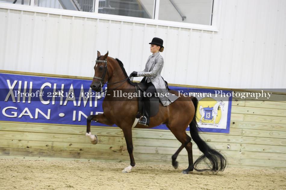 Proof 22R13_13241