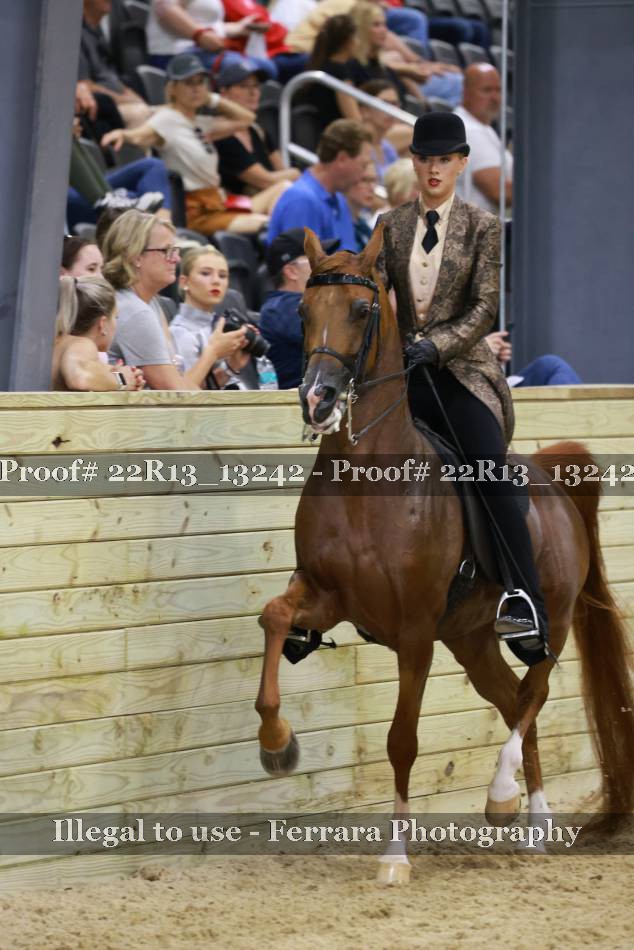Proof 22R13_13242