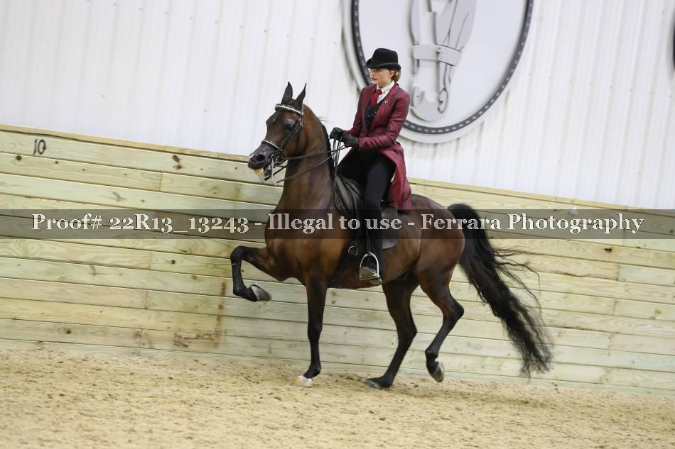 Proof 22R13_13243