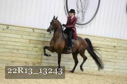 22R13_13243 proof