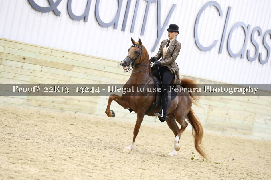 Proof 22R13_13244