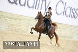 22R13_13244 proof