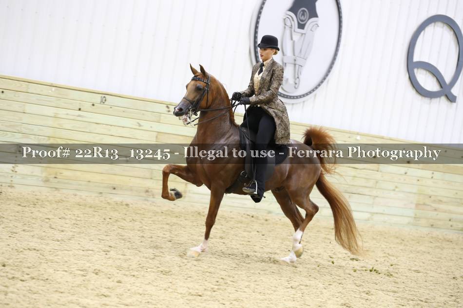 Proof 22R13_13245