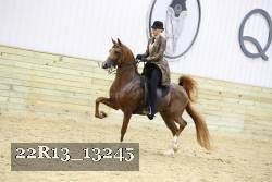 22R13_13245 proof